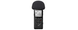 A10 Linear PCM Recorder A Series 6