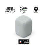 LinkBuds Speaker 1