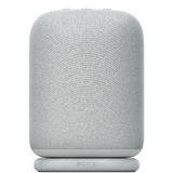 LinkBuds Speaker 0