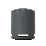 SRS-XB100 Portable Wireless Speaker 1