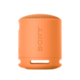 SRS-XB100 Portable Wireless Speaker 10
