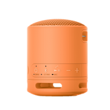 SRS-XB100 Portable Wireless Speaker 11